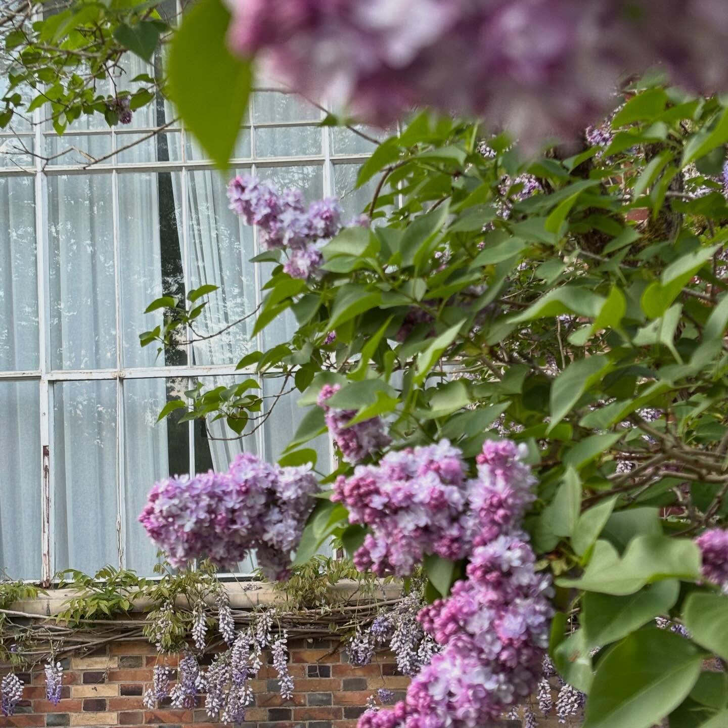 ?La saison des fleurs au château de Rosa Bonheur est officiellement ouverte !
Et elle n’est pas prête de s’achever….
#rosabonheur #garden #flowers #chateaurosabonheur jardin