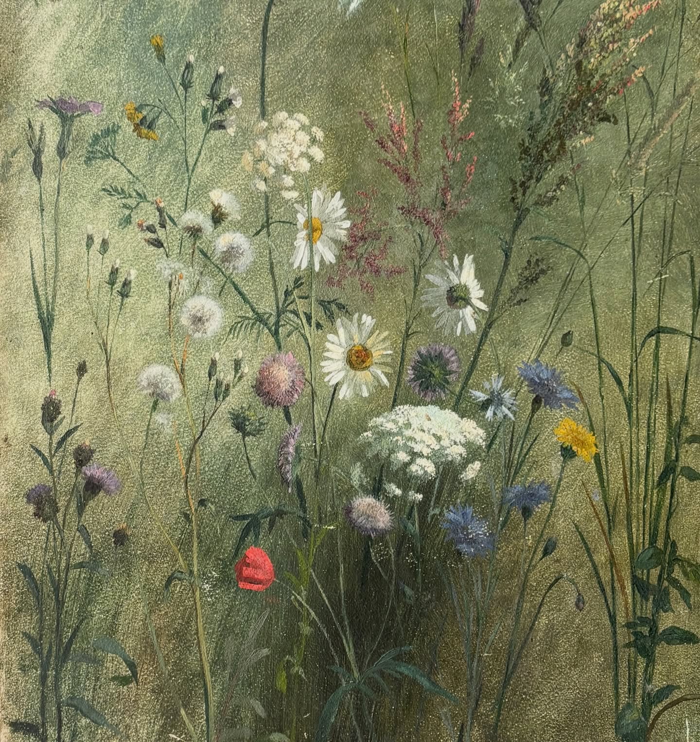 Le printemps s’installe au château. L’occasion de vous présenter une étude de fleurs sauvages de Rosa Bonheur !
Parce que Rosa Bonheur a aussi pris le temps d’étudier les fleurs sauvages, tout comme les paysages et même le ciel.
Elle témoigne de la finesse d’observation de Rosa Bonheur que nous lui connaissons bien.
#rosabonheur #chateaurosabonheur #etude #art #femmeartiste