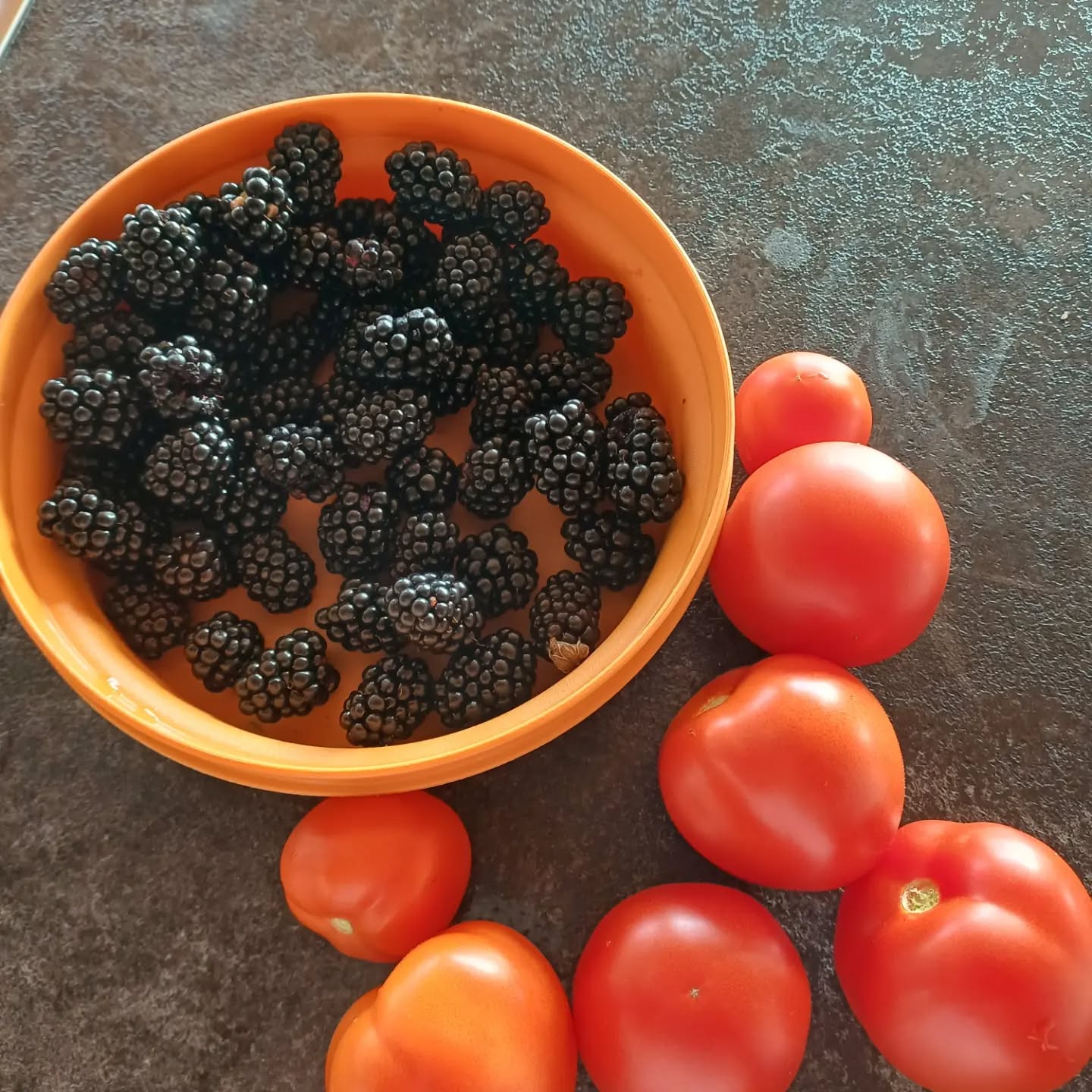 So schmeckt der Sommer.
Einkaufen im Garten.
Regional, gesund und lecker.
#selbstangebaut
#gesund
#regional
#saisonal
#soschmecktdersommer
#gartenliebe
