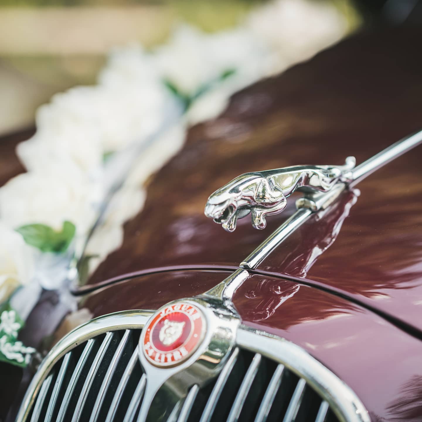 About yesterday ?
.
? @tofublockphotography
.
.
#wedding #Hochzeit #hochzeitsautomieten #Hochzeitsauto #Brautauto #weddingcar #weddingphotography #amazing #bestdayinlife #happy #love #bride #beautiful #heiraten #mrandmrs #brideandgroom #justmarried #instabride #weddinginspo #bride #instawedding #brautundbräutigam #oldtimer #jaguar #jaguarmk2 #jaguarmkII #jaguarclassic #burgheimerzheim
