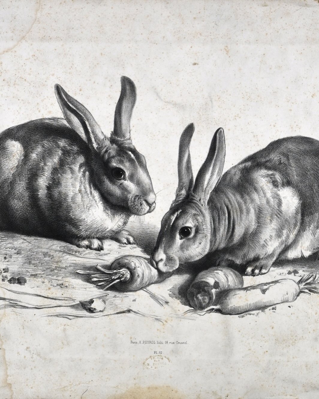 Joyeuses Pâques ! ?
Les deux lapins, premier Salon de Rosa Bonheur, alors âgée de 19 ans. Rendez-vous compte, nous sommes en 1841, et elle se lance. Pour la première fois, la jeune et ambitieuse Rosa envoie deux toiles au jury qui sont toutes deux reçues. Victoire pour Rosa !
Emplie de fierté, elle ne se doutait pas que cette exposition serait la première d’une longue série de triomphe. En effet, Rosa Bonheur exposera ses créations, peintures et sculptures, tous les ans jusqu’en 1848 où elle remporte la médaille d’or du Salon !
#rosabonheur #chateaurosabonheur #lapin #femmeartiste