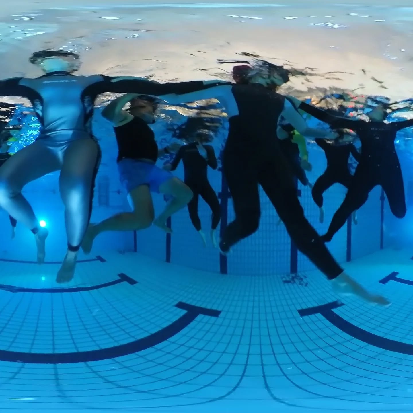 Yesterday, we celebrated our last training of the year 2024 with traditionally playing our yearly Freedive Games. With an underwater obstacle swim and mermaids & merman.
We wish you all good holidays and a beautiful breathless new year!
#freediving #freedivegames #freedivingutrecht #Zeist