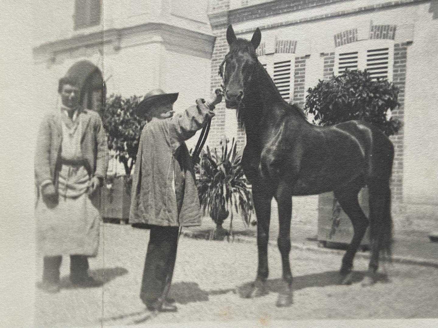 Rosa Bonheur tenant son cheval pour la photographie, sous le regard de son palefrenier Étienne Rey.
Une photographie puissante où l’on surprend presque Rosa Bonheur dans sa quotidienneté du château. Elle était une grande cavalière, et aimait profondément le chevaux. Ils étaient tous pour elle un sujet intéressant à observer, étudier et à comprendre. Son regard bienveillant et scientifique se posait sur eux, appréciant aussi bien les mustangs, ces chevaux sauvages élancés, que les poneys écossais ou encore les percherons.
Elle écrira un jour dans ses papiers : « Le cheval est comme l’homme la plus belle ou la plus misérable des créatures ; seulement c’est le vice ou la misère qui font l’homme indigne et laid ; il est presque responsable de sa décadence, tandis que le cheval n’est qu’un esclave que le Créateur avait confié à l’homme et dont celui-ci abuse dans son ingratitude et sa misère lâche et égoïste, jusqu’à devenir au-dessous de la brute même. »
©Château de Rosa Bonheur, By-Thomery
#rosabonheur #chateaurosabonheur #horse #cheval musee