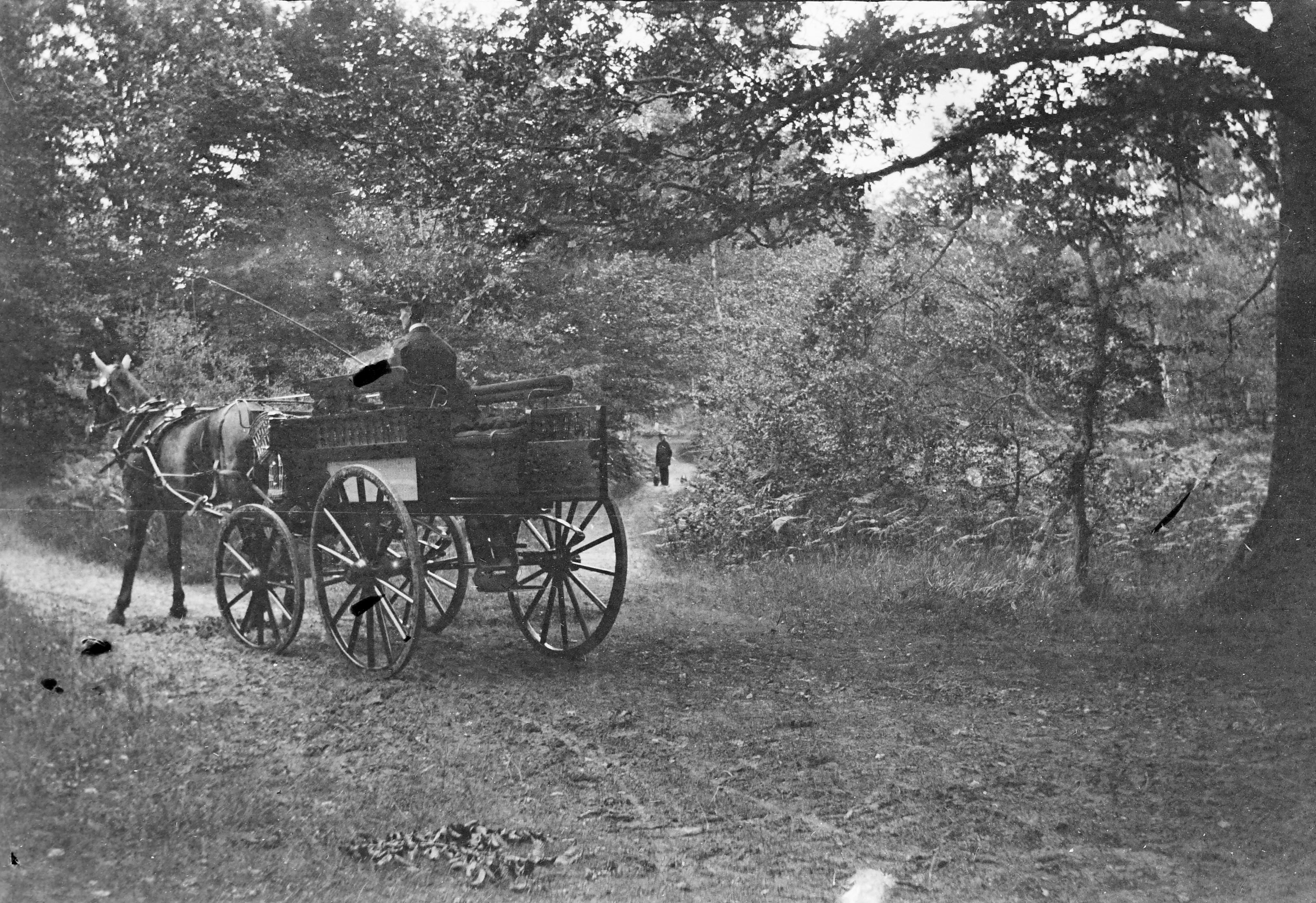 Photographie émouvante d’une promenade en forêt de Fontainebleau immortalisée par Anna Klumpke ?
Etienne Rey, le cocher de Rosa, attend cette dernière qui est au bout du chemin avec ses chiens.
#rosabonheur #archive #chateaurosabonheur #photographie #annaklumpke