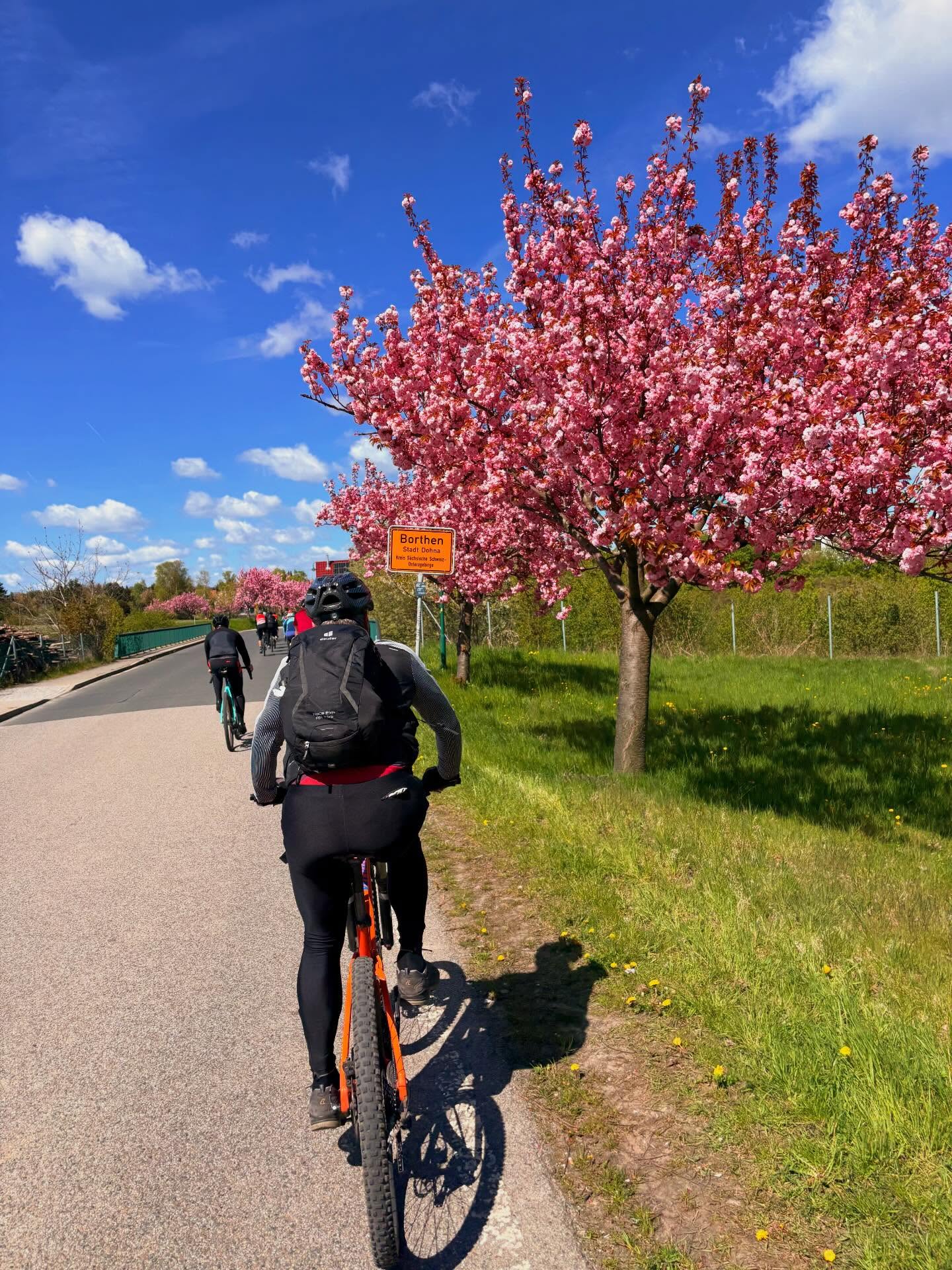 Road less traveled – Recap. 🌿🚴♂️
Was für ein Tag! Sonne im Gesicht, Schotter unter den Reifen und genau die richtigen Leute dabei.
Gemeinsam ging’s gen Süden über abwechslungsreiche Trails, knackige Anstiege und entspannte Passagen zum Durchatmen. Sportlich, aber immer im Flow – genau so, wie’s sein soll.
Die Einkehr in Kreischa? …nur mit Automateneis ☕🍰
Die Stimmung? Locker.
Die Beine? Spürbar 😅
Danke an alle, die dabei waren und diesen Ride wieder besonders gemacht haben. Wir freuen uns schon auf die nächste Runde – natürlich wieder abseits der ausgetretenen Pfade.
@teambikepointdresden
#bikepoint #bikepointdresden #gravel #gravelbike teambikepointdresden