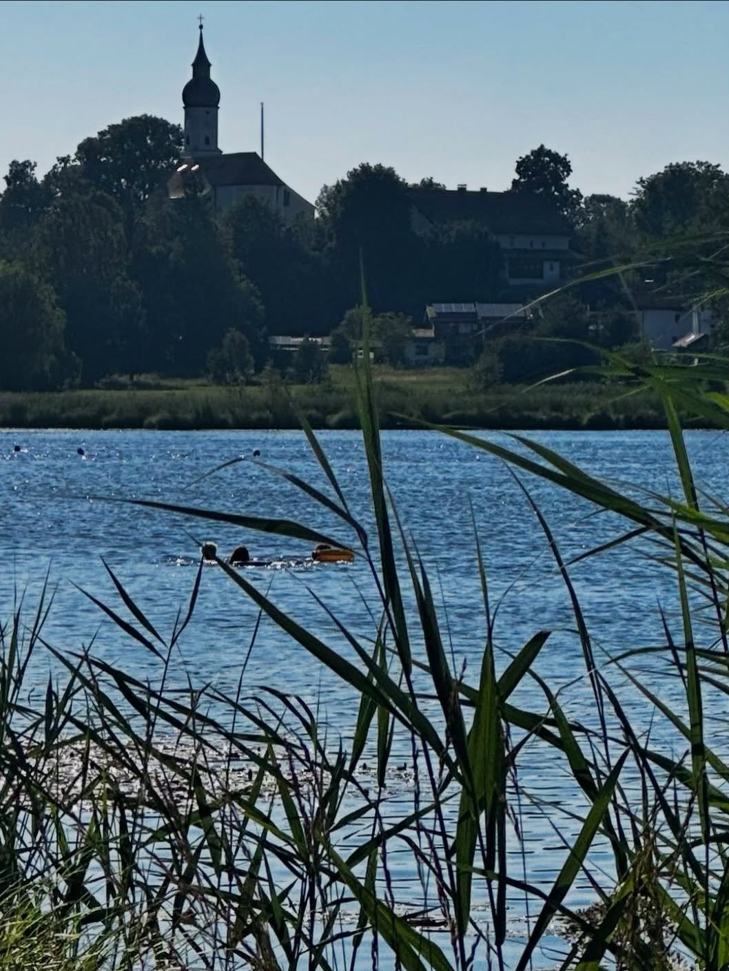 Noch ein Tipp der Gastgeberin für die Gäste des SCHELLENWIES*****!
Einen Katzensprung von unserer Ferienwohnung entfernt liegt das hübsche Dorf Bad Bayersoien mit dem Soyer See!
Böötchen fahren, im Seehäuserl einkehren, die Seele baumeln lassen, sonnenbaden, den Moorpfad entlang laufen oder ganz einfach übern See schauen - all das und zwar ganz entschleunigt und entspannt, gibts am Soyer See!
#ammergaueralpen
#ferieninbayern
#genusszeit
#badbayersoien
#urlaub