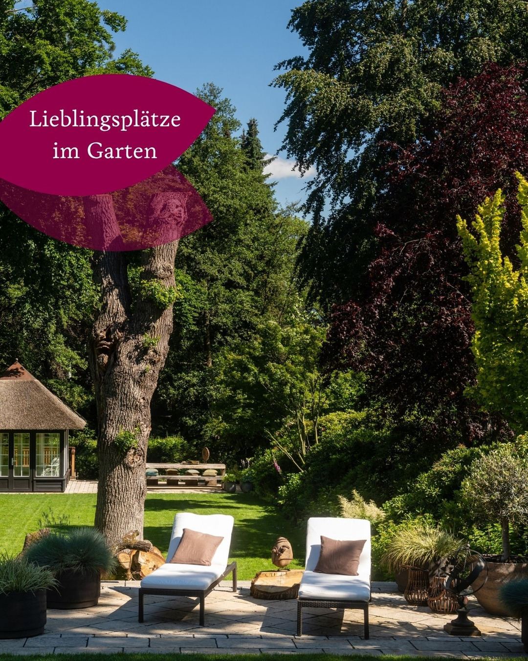 Jeder Garten braucht diesen einen Ort.
Den Platz, an dem der Kaffee morgens besser schmeckt. Den Platz, an dem man nach einem langen Tag kurz durchatmet. Den Platz, an dem Sommerabende plötzlich länger werden als geplant.
Genau diese Lieblingsplätze entstehen selten zufällig.
Sie entstehen dort, wo Sonne, Schatten, Privatsphäre und Atmosphäre zusammenkommen.
Denn am Ende erinnern wir uns nicht an den Weg oder die Pflanzung.
Sondern an die Momente, die wir dort erlebt haben.
Wo wäre euer Lieblingsplatz in diesem Garten? 🌿✨
#gaertnervoneden #lieblingsplatz #outdoorliving #gartenmomente #gartendesign