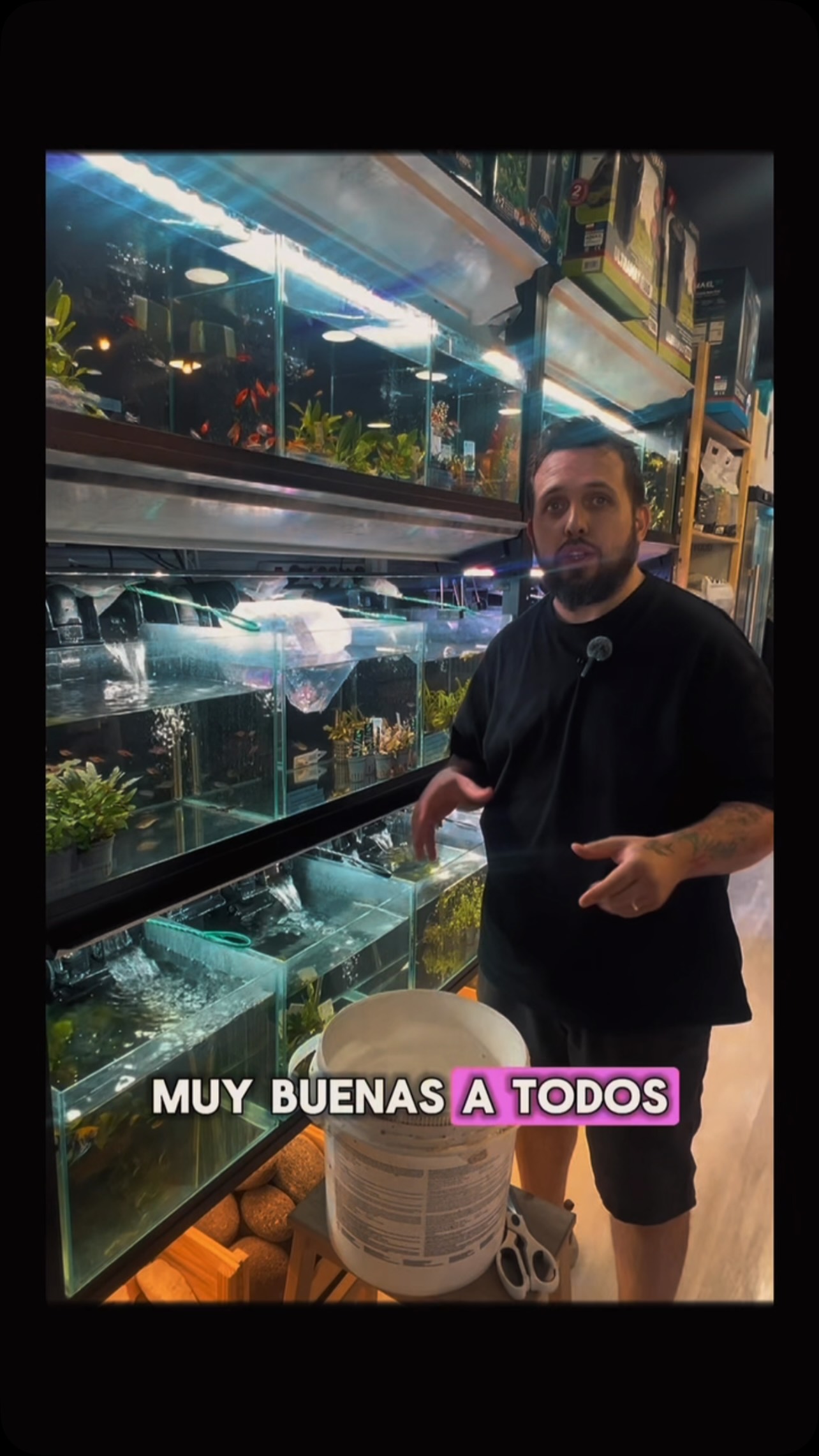 Nuevo video en nuestro nuevo canal de YouTube?
https://youtube.com/shorts/3icO5pSaiFE?feature=shared
〰️〰️〰️〰️〰️
?Plaza Ondarreta 1,Alcorcón.
〰️〰️〰️〰️〰️
? www.aquasalvaje.com
〰️〰️〰️〰️〰️
#aquarium #acuarioplantado #aquariumhobby #aquariumdesign #fishtanks