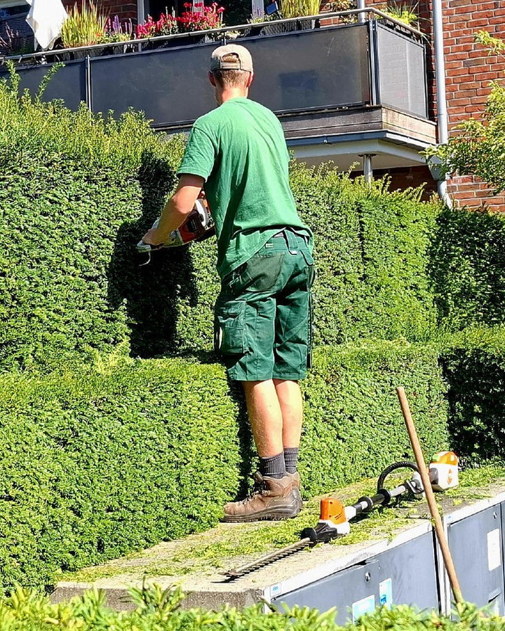 Auch bei sommerlichen Temperaturen sind wir fleißig. ☀️🌿
Beim Heckenschnitt sorgen wir dafür, dass die Pflanzen in Form bleiben und gepflegt durch den Sommer kommen. Dabei kommt es auf den richtigen Schnitt, den passenden Zeitpunkt und natürlich einen genauen Blick auf die Hecke an.
Denn besonders im Sommer gilt: anpacken, pflegen und dafür sorgen, dass der Garten rundum gut aussieht.