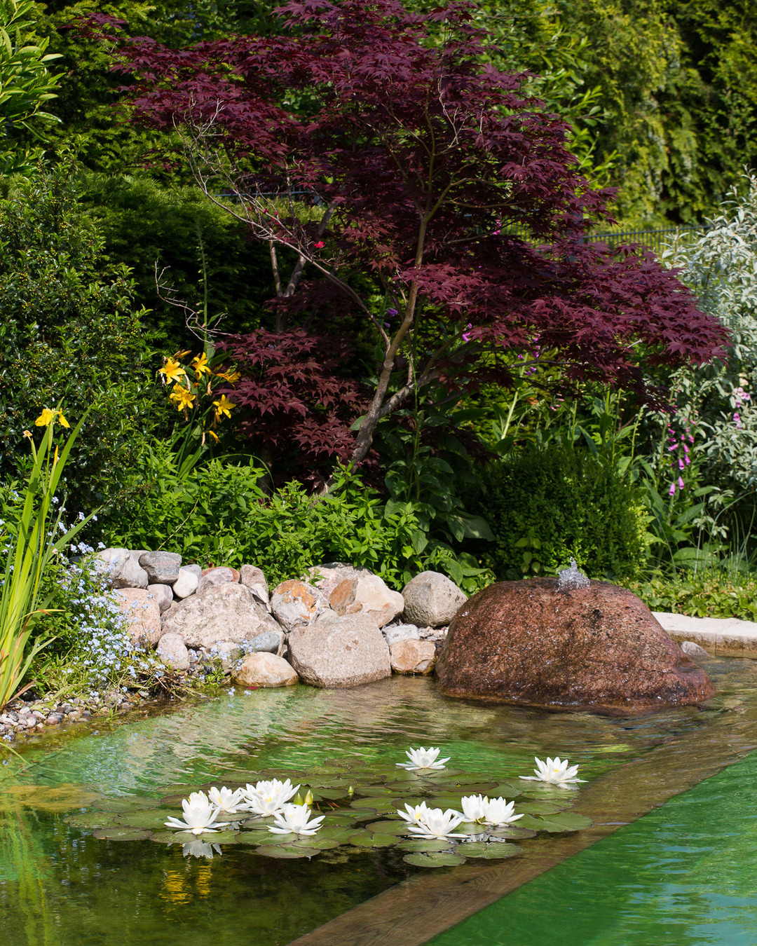 Jetzt ist die richtige Zeit, die warmen Tage vor dem Herbst noch einmal im Garten zu genießen! ☀️🌿
Ob auf der Terrasse oder am Schwimmteich, der Spätsommer zeigt den Garten noch einmal von seiner schönsten Seite.