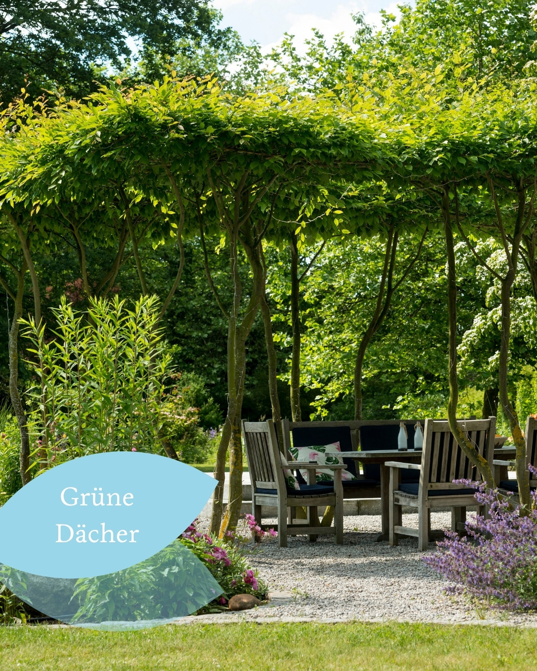 Es gibt Schatten.
Und es gibt Schatten unter einem grünen Blätterdach. 🌿
Wenn das Sonnenlicht durch die Blätter fällt, sich das Lichtspiel im Laufe des Tages verändert und darunter ein geschützter Raum entsteht, fühlt sich ein Garten plötzlich ganz anders an.
Dachplatanen und andere Dachformen schaffen genau das:
Sie spenden nicht nur Schatten, sondern geben einem Ort Charakter.
Fast wie ein zusätzliches Zimmer im Freien.
Könntet ihr euch einen Platz unter einem grünen Dach vorstellen? ✨
#gaertnervoneden #dachplatane #gartendesign #garteninspiration #outdoorliving