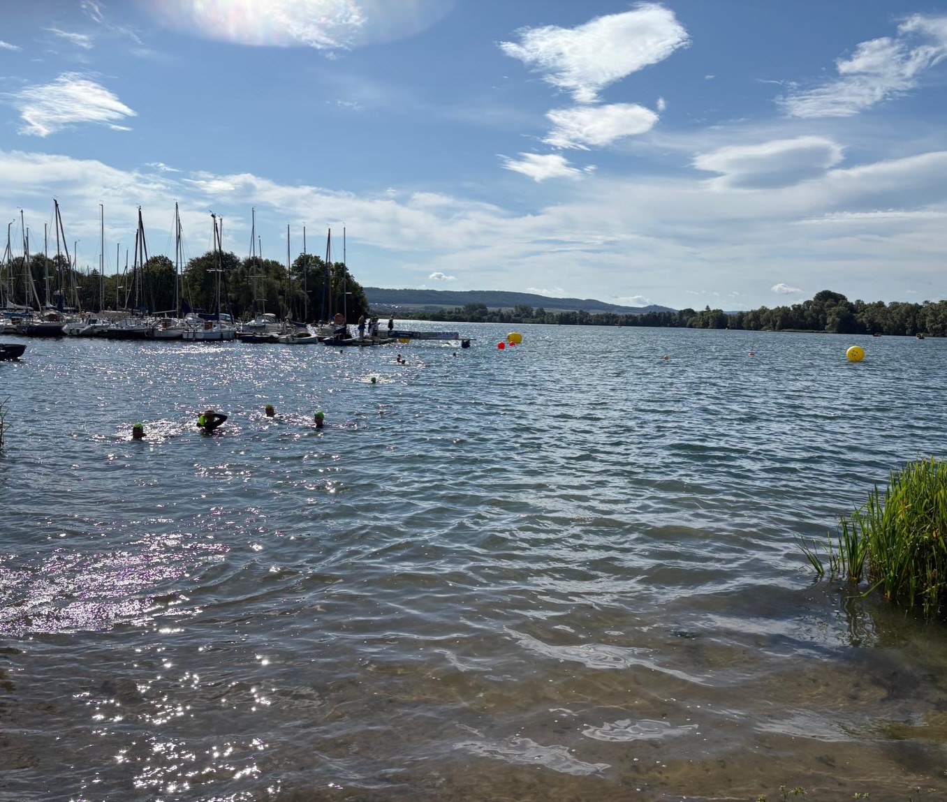 Landesfreiwassermeisterschaften in Northeim 🌊
Zum Ende des Sommers ging es für Niedersachsens Freiwasserschwimmer:innen noch einmal auf die lange Strecke. Bei den Landesfreiwassermeisterschaften am vergangenen Wochenende an der Northeimer Seenplatte standen die 2,5km, 5km und 3 x 1.250m Staffel auf dem Programm.
Mit 184 Einzel- und 39 Staffelmeldungen war auch in diesem Jahr einiges los im Northeimer Kiessee.
Herzlichen Glückwunsch an alle Teilnehmenden zu ihren Leistungen und ein großes Dankeschön an die Wasserfreunde Northeim, die DLRG und alle Helfer:innen für die Ausrichtung!👏🏼
ℹ️ Einen ausführlichen Bericht, Bilder und weitere Eindrücke findet ihr auf unserer Homepage.
#lsn #landesschwimmverbandniedersachsen #niedersachen #freiwasser #schwimmen