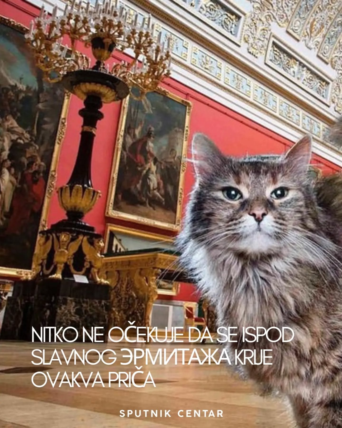 U podrumima Ermitaža već stoljećima žive posebni stanovnici – mačke koje su nekada imale važan zadatak: čuvati palaču i njezine dragocjene zbirke od glodavaca. 🐾
Danas imaju gotovo status slavnih: svaka ima svoje ime, osobnost i čak „radno mjesto”, a Ermitaž im posvećuje i poseban dan - День Эрмитажного кота 🎉
I opet, ako ih sretnete, trebat ćete i poneku rusku riječ 😉:
🐱 кот — mačak
🐾 кошка — mačka
🏛️ Эрмитаж — Ermitaž
🏰 дворец — palača, dvorac
🐭 мышь — miš
🥣 подвал (podval) — podrum U podrumima Ermitaža već stoljećima žive posebni stanovnici – mačke koje su nekada imale važan zadatak: čuvati palaču i njezine dragocjene zbirke od glodavaca. 🐾
Danas imaju gotovo status slavnih: svaka ima svoje ime, osobnost i čak „radno mjesto”, a Ermitaž im posvećuje i poseban dan - День Эрмитажного кота 🎉
I opet, ako ih sretnete, trebat ćete i poneku rusku riječ 😉:
🐱 кот — mačak
🐾 кошка — mačka
🏛️ Эрмитаж — Ermitaž
🏰 дворец — palača, dvorac
🐭 мышь — miš
🥣 подвал (podval) — podrum