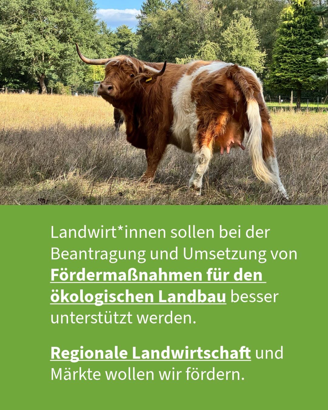 Unser Herzensthema: die Bewahrung der Natur 💚
#grüneworpswede #kommunalwahl2026 #machsgrün