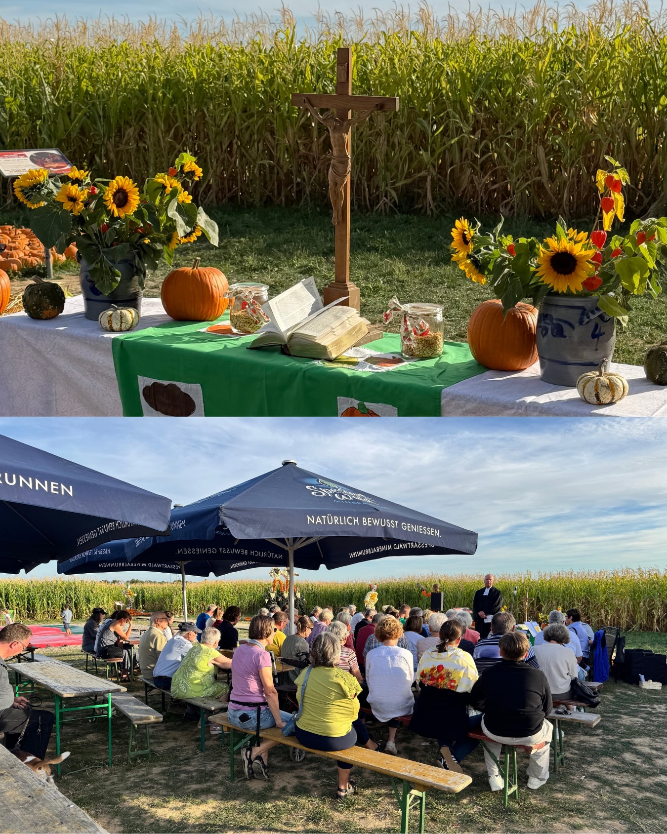 Unser Wochenende in der Kürbiserlebniswelt 🧡🍂
Swipe durch und schau, was dieses Wochenende alles bei uns los war! 👉🏻
Unser Maispool war am Wochenende wieder ein absolutes Highlight! 🌽
Während die Großen entspannt haben, wurde hier fleißig gebuddelt, gespielt und getobt 🤎
Hereinspaziert in unseren Kürbiszirkus!
Unsere 16 Kürbisfiguren haben auch dieses Wochenende wieder für viele staunende Blicke gesorgt 🎪🦁🎠
Ponyzeit! 🐴🤎
Zum Kürbisfest durften unsere kleinen Besucher auf den Ponys eine Runde drehen
Hüpfen, toben, lachen! 🤸🏻♀️
Auf unserem Hüpfkissen war am Wochenende ordentlich was los!
Dieses Wochenende durften wir Gastgeber für ein ganz besonderes Event sein @connectingpeople.community mit tollen Menschen, schönen Begegnungen und einer ganz besonderen Atmosphäre 💛💫
Der Duft von gebrannten Kürbiskernen lag in der Luft
Vanille, Zimt, Schoko, Knoblauch, Chili und noch viele weitere Sorten warten darauf, von euch probiert zu werden 😋
16 Kürbisfiguren - wer hat schon alle entdeckt und bestaunt? 🎃
Welche ist euer Favorit?
Ein besonderer Ausklang des Wochenendes 🤍
Bei unserer Abendandacht konnten wir den Tag gemeinsam ausklingen lassen.
Schön, dass ihr dabei wart! 💫