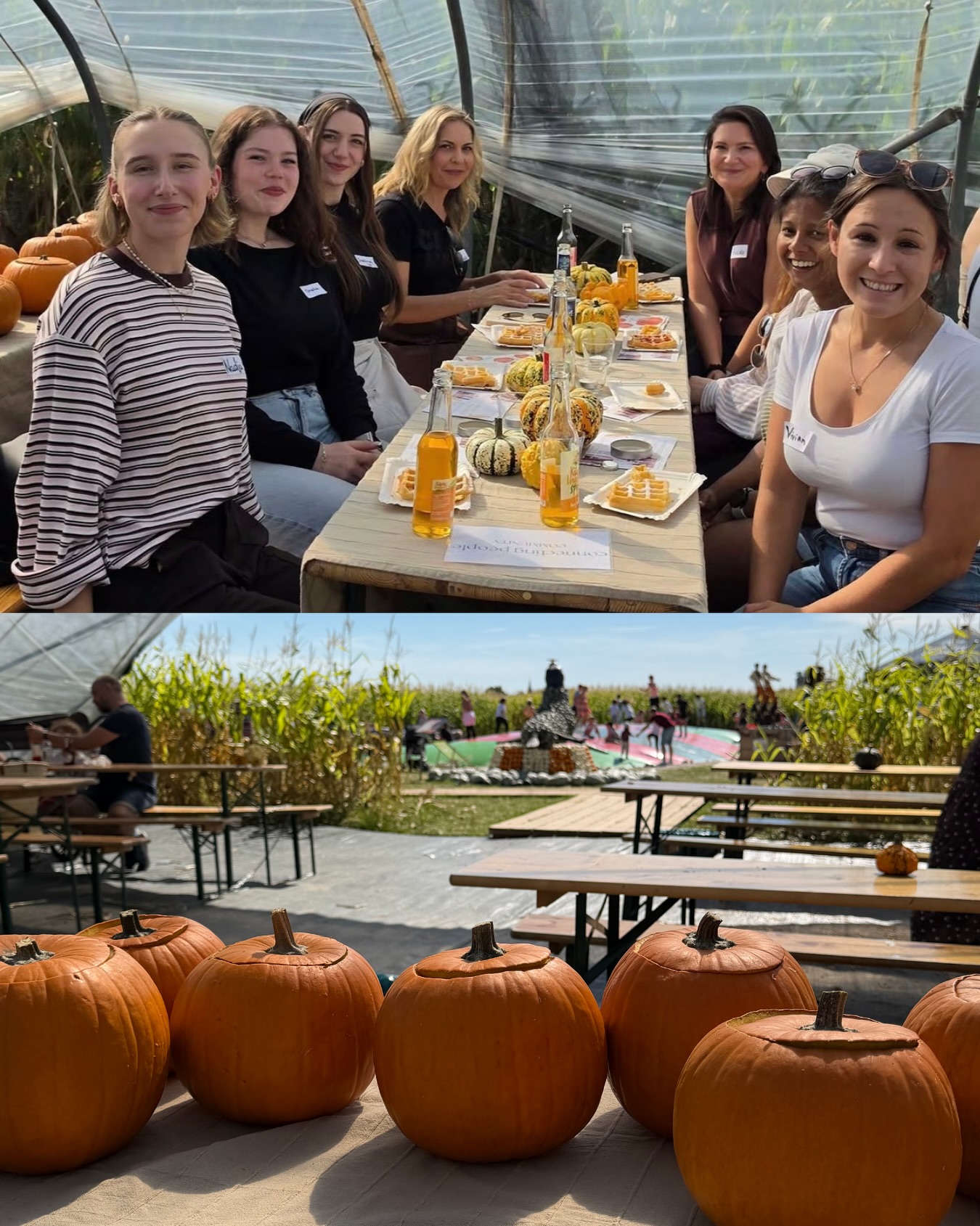 Unser Wochenende in der Kürbiserlebniswelt 🧡🍂
Swipe durch und schau, was dieses Wochenende alles bei uns los war! 👉🏻
Unser Maispool war am Wochenende wieder ein absolutes Highlight! 🌽
Während die Großen entspannt haben, wurde hier fleißig gebuddelt, gespielt und getobt 🤎
Hereinspaziert in unseren Kürbiszirkus!
Unsere 16 Kürbisfiguren haben auch dieses Wochenende wieder für viele staunende Blicke gesorgt 🎪🦁🎠
Ponyzeit! 🐴🤎
Zum Kürbisfest durften unsere kleinen Besucher auf den Ponys eine Runde drehen
Hüpfen, toben, lachen! 🤸🏻♀️
Auf unserem Hüpfkissen war am Wochenende ordentlich was los!
Dieses Wochenende durften wir Gastgeber für ein ganz besonderes Event sein @connectingpeople.community mit tollen Menschen, schönen Begegnungen und einer ganz besonderen Atmosphäre 💛💫
Der Duft von gebrannten Kürbiskernen lag in der Luft
Vanille, Zimt, Schoko, Knoblauch, Chili und noch viele weitere Sorten warten darauf, von euch probiert zu werden 😋
16 Kürbisfiguren - wer hat schon alle entdeckt und bestaunt? 🎃
Welche ist euer Favorit?
Ein besonderer Ausklang des Wochenendes 🤍
Bei unserer Abendandacht konnten wir den Tag gemeinsam ausklingen lassen.
Schön, dass ihr dabei wart! 💫